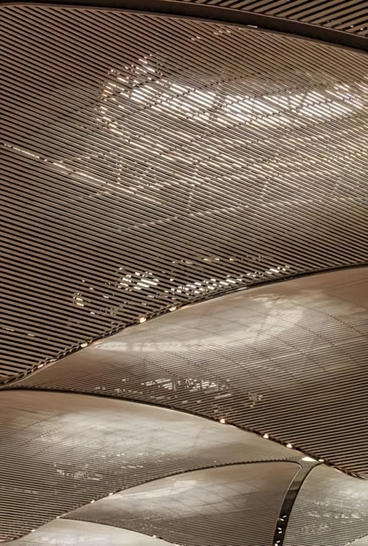 上海市白玉兰荣誉奖,上海白玉兰荣誉奖2020