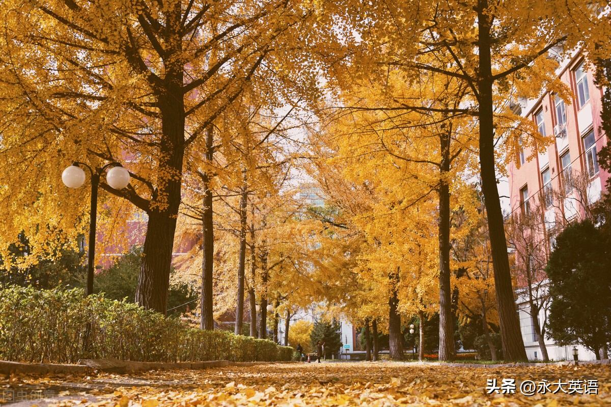 大学英语课程线上教学,全国大学英语实用课程教学
