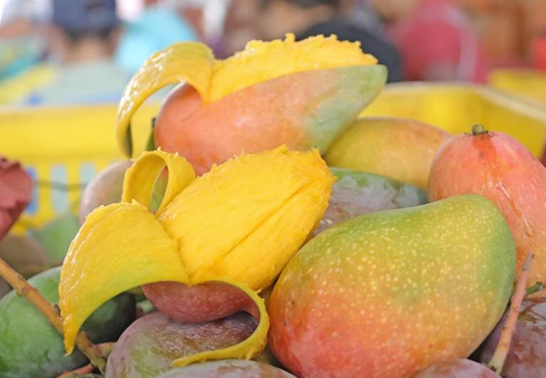 5月底的新鲜应季水果,夏天必吃的5种应季水果