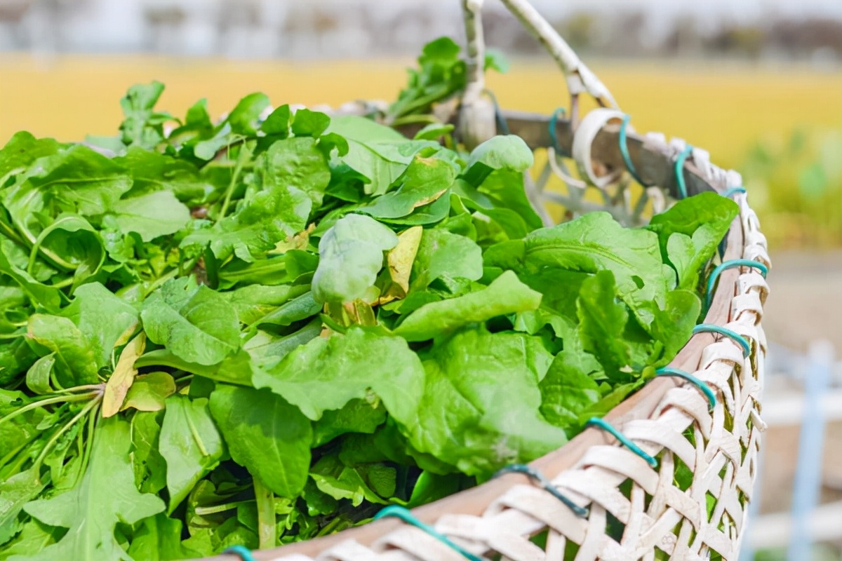 七夕的应景美食,七夕节美食美景