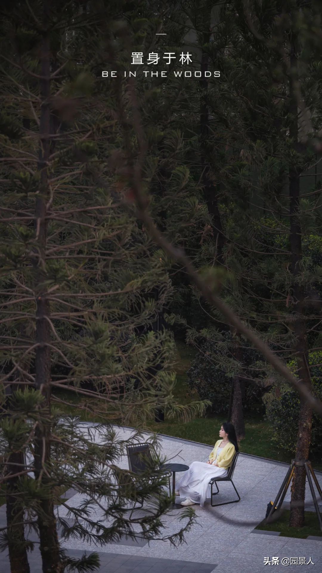 龙湖金茂北岛景观,重庆龙湖金茂北岛位置在哪里