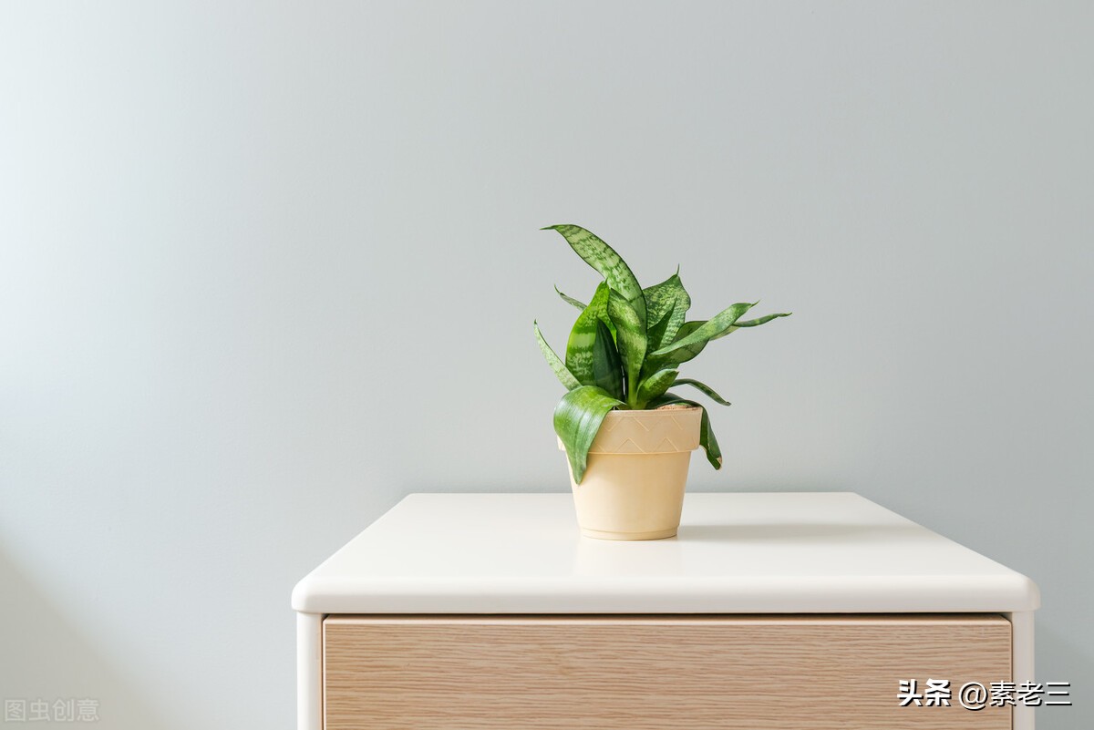 女作家去做保姆441集,女作家去做保姆最新篇441