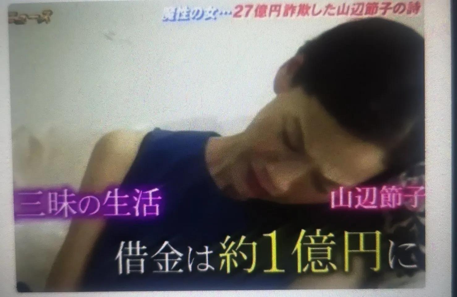 绿茶女诈骗案例,诈骗12亿日本女诈骗犯