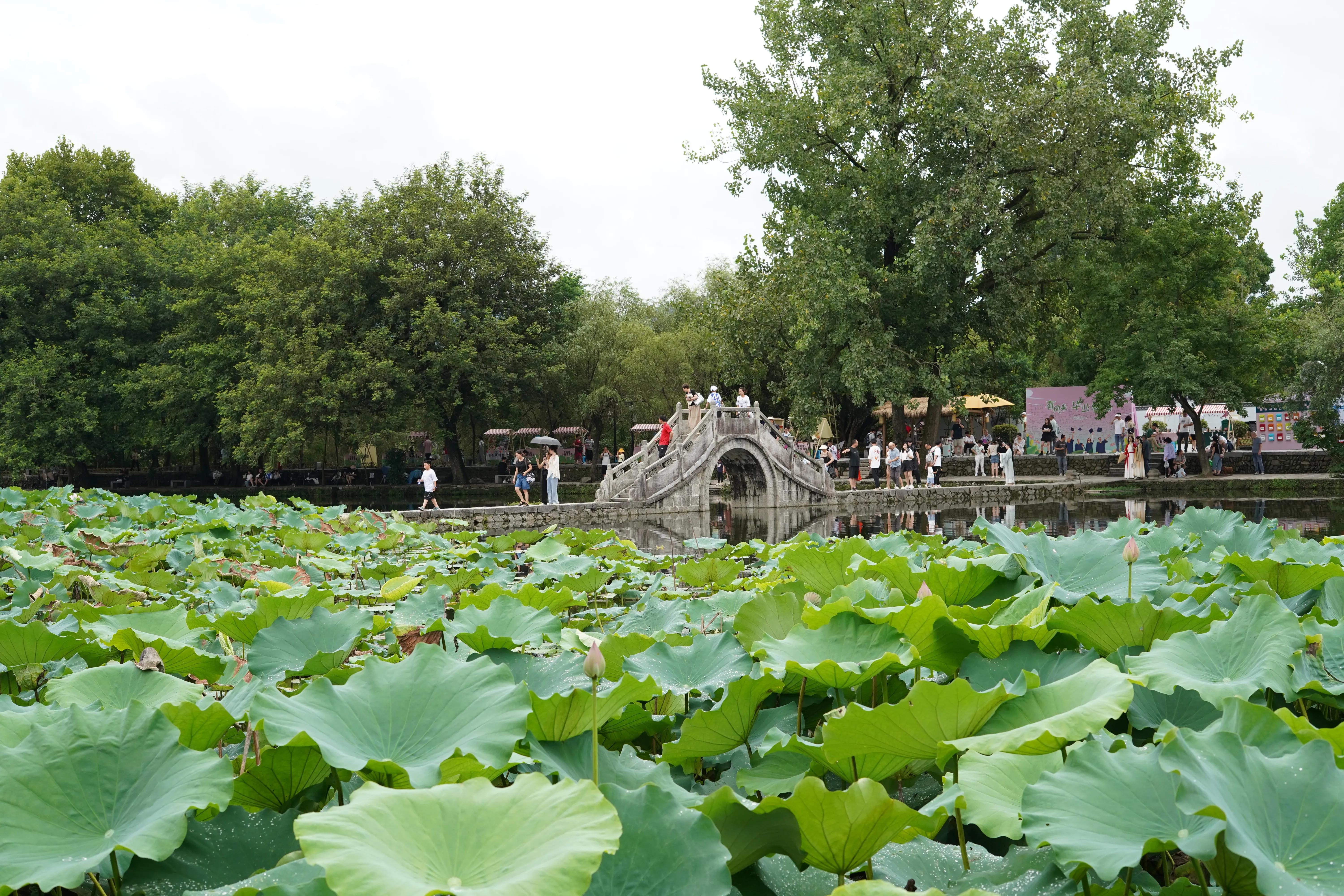 游黄山跟宏村的感受,游黄山的宏村要多长时间