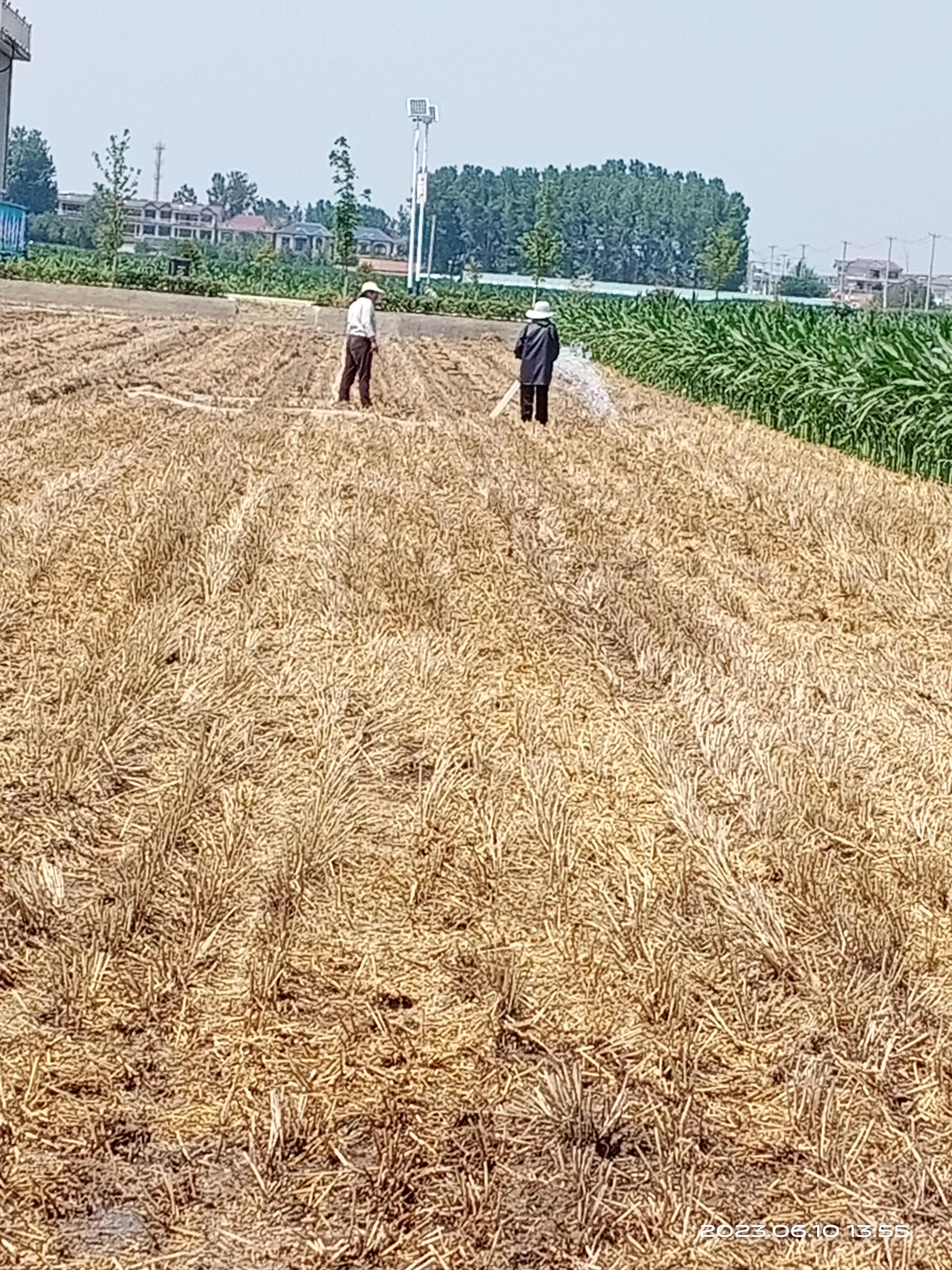 专家说农民种地是暴利原视频,专家说农民种地是暴利文章