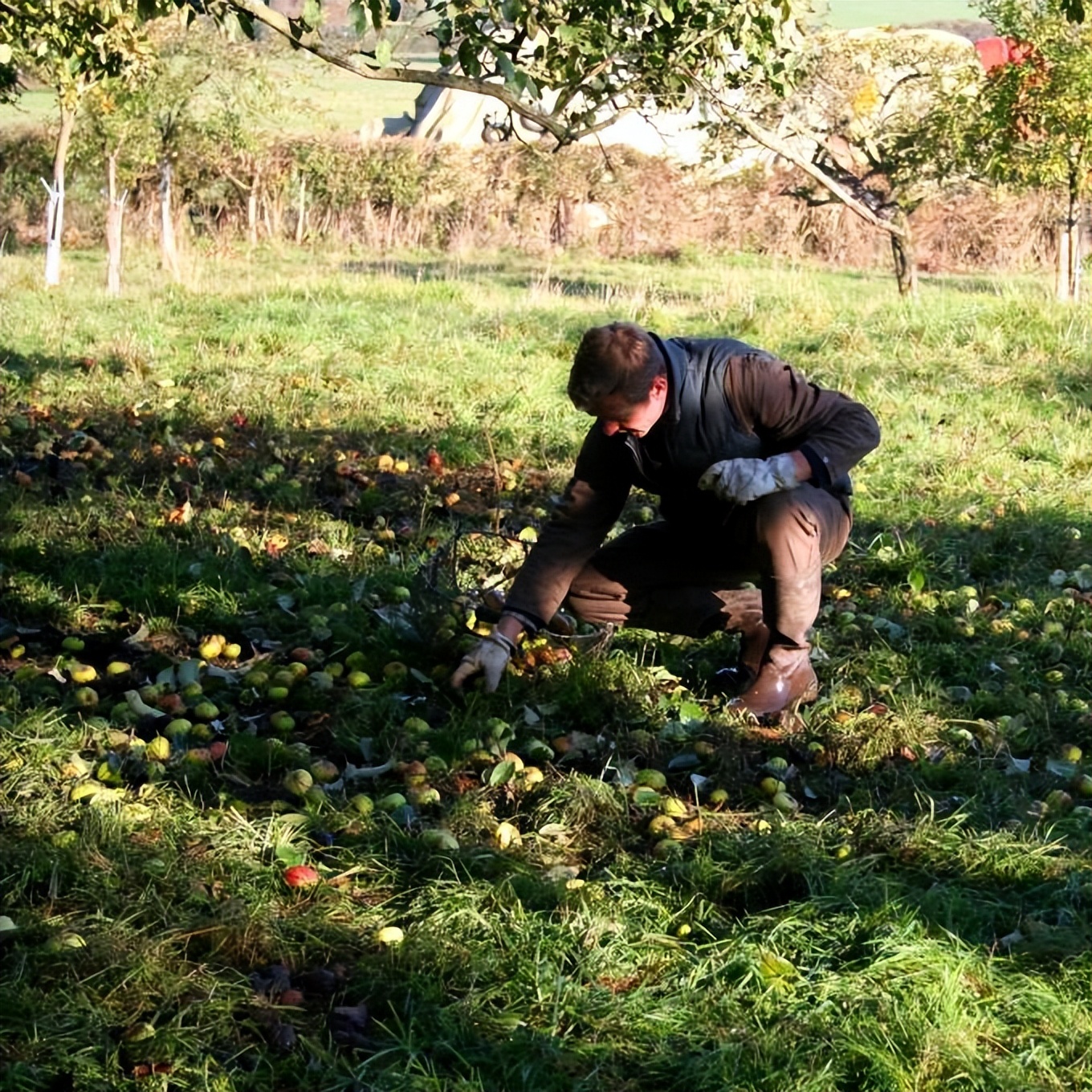 不容错过法国红酒,不容错过的精彩时刻