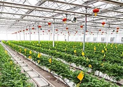 农业的未来盈利模式,农业的未来一定是技术为王