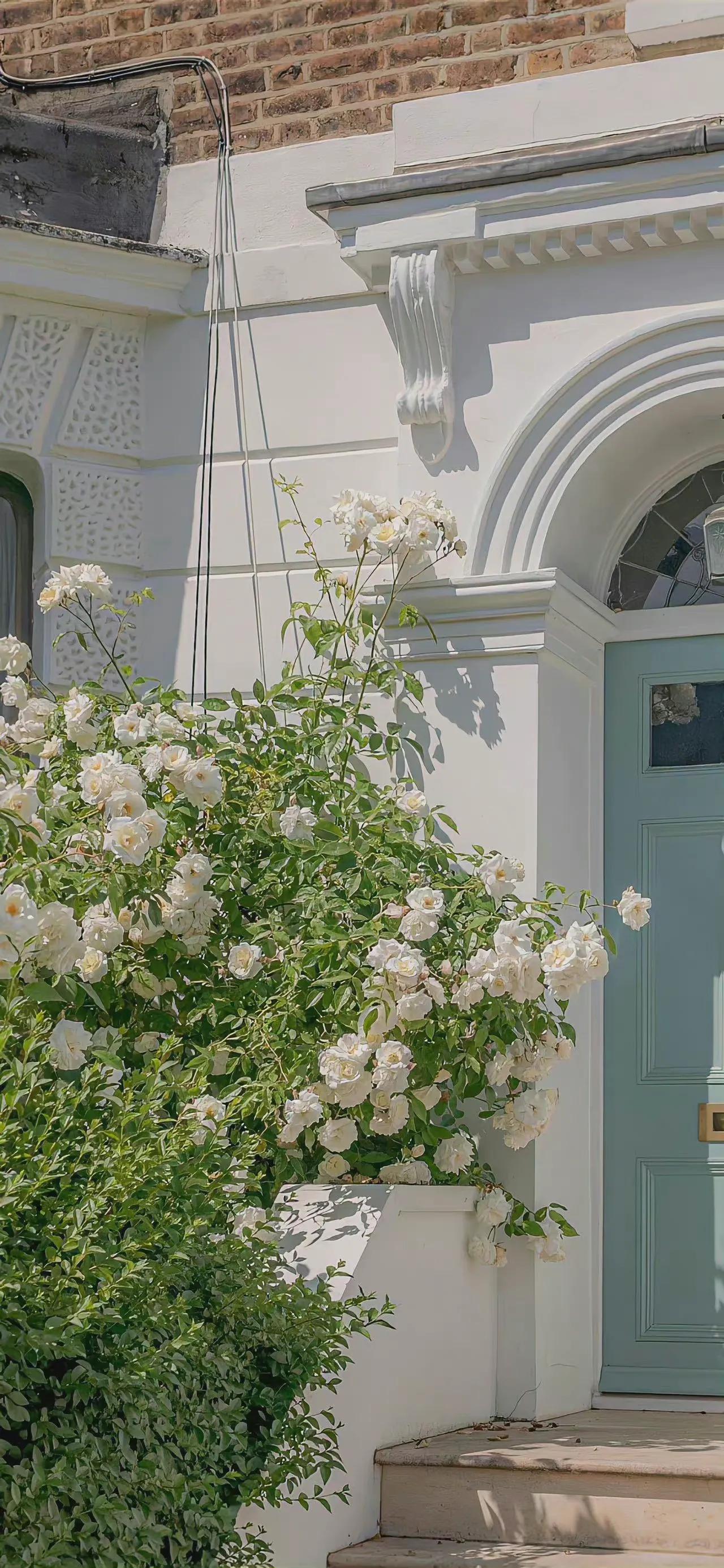 适合夏天的手机壁纸高清,纯颜色高清手机壁纸