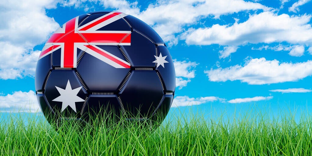 卡塔尔世界杯有哪些参赛国家,卡塔尔世界杯有几个亚洲国家参赛