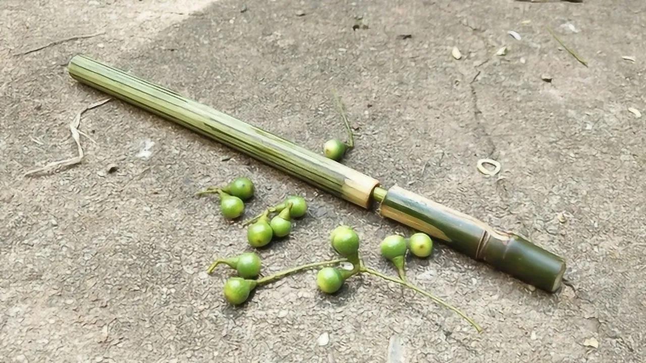 儿时回忆火药枪,儿时的回忆竹枪