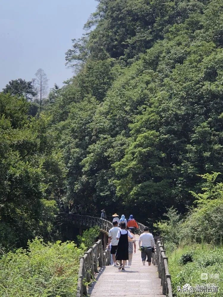 雁荡山的七大景区,雁荡山八大景区哪个更值得去