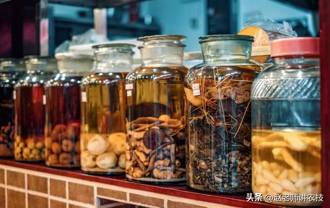 为什么不建议自己泡酒,怎么知道自己适合喝哪种泡酒