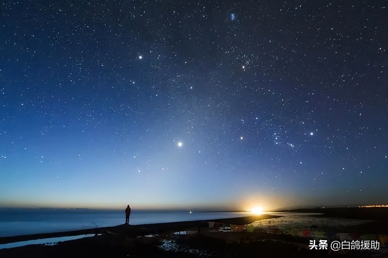 老师带炒股被骗了怎么追回,老师带领炒股赚钱做公益可信吗