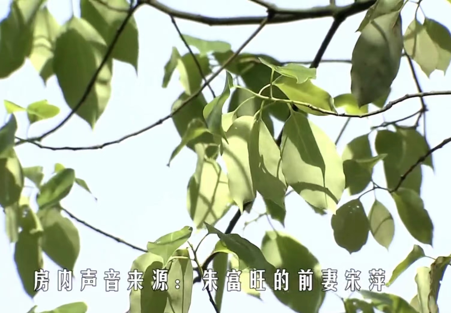 二婚男娶头婚女吵架总被指痛处,头婚男娶二婚女丢人又离婚