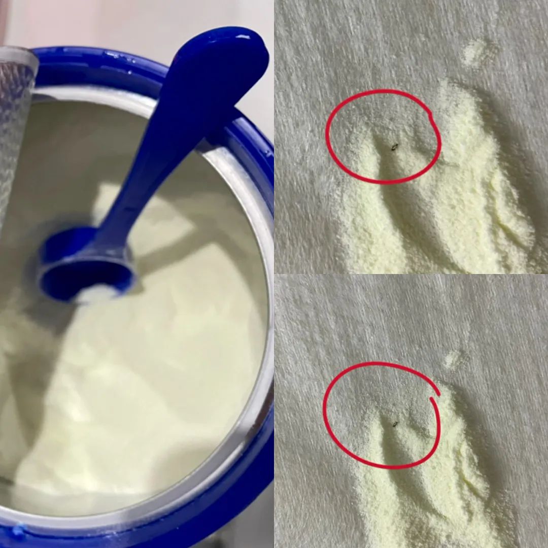 谁在说谎儿童版,爱他奶粉有虫