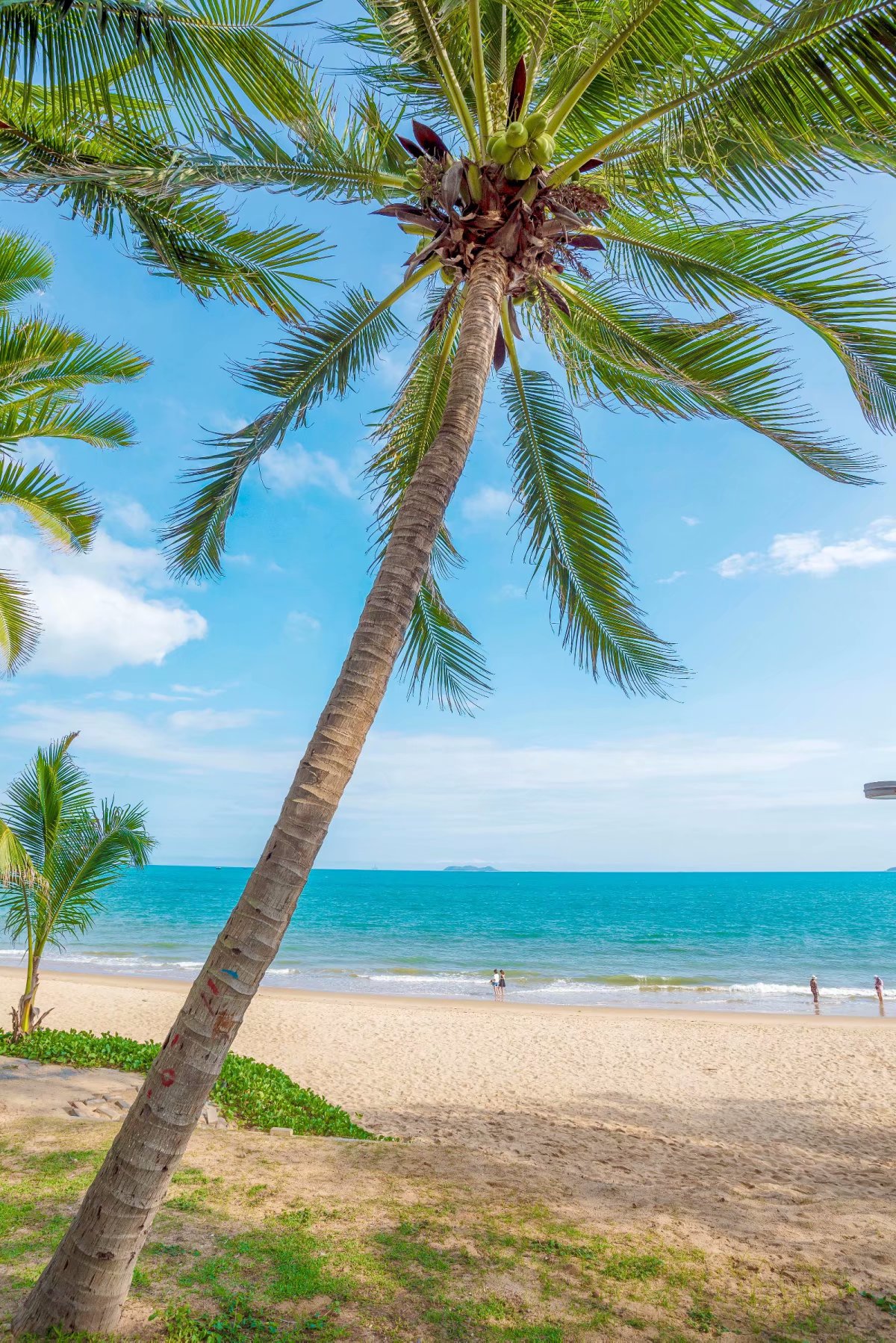 泰国三亚旅游对比,三亚和泰国旅游选择哪里