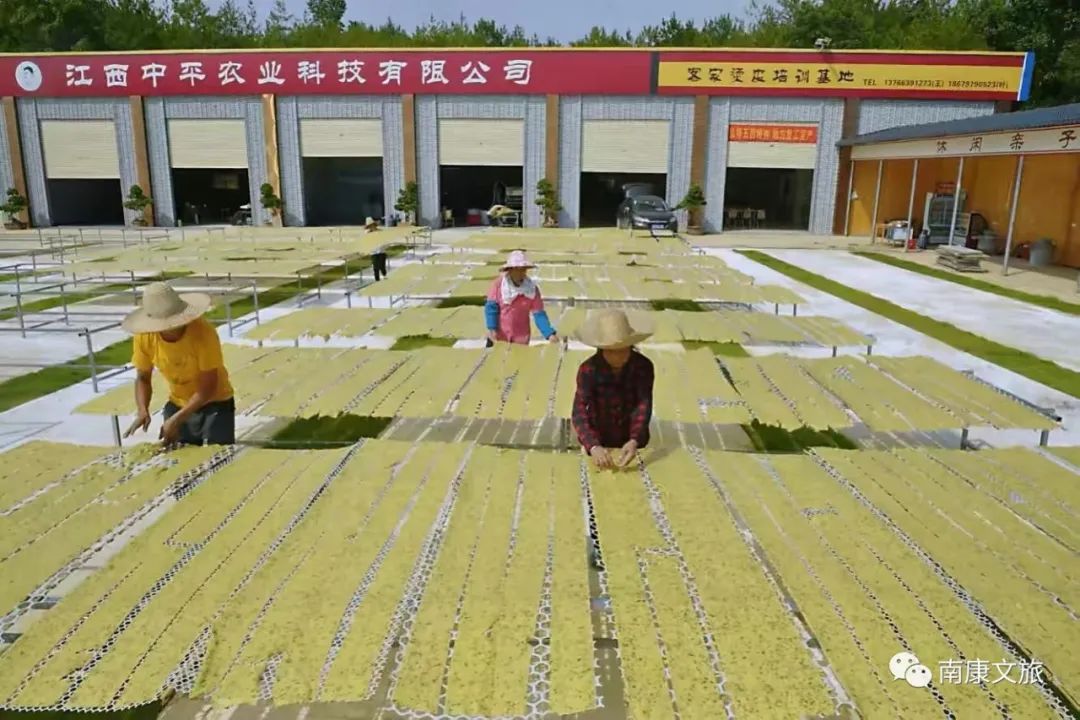 高考结束后成都旅游攻略,高考结束旅游推荐南京