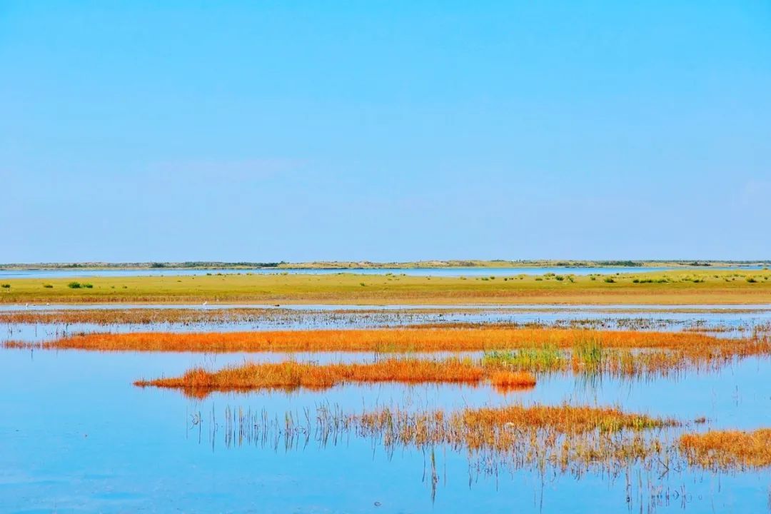 经典名著精华100句值得收藏,100部名著经典语录