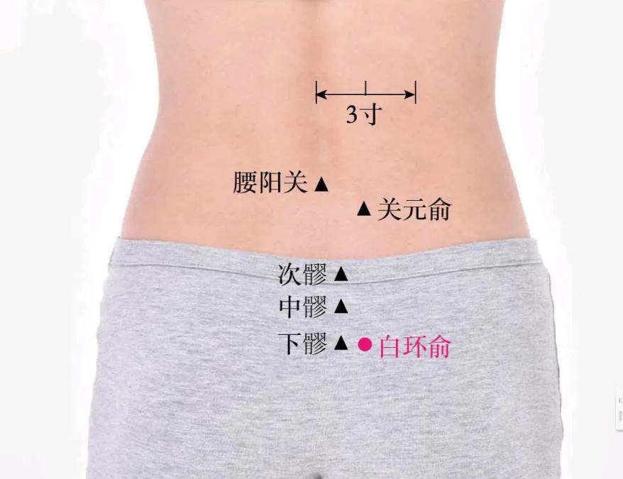 白环俞穴位位置图和作用,每天学一个经络