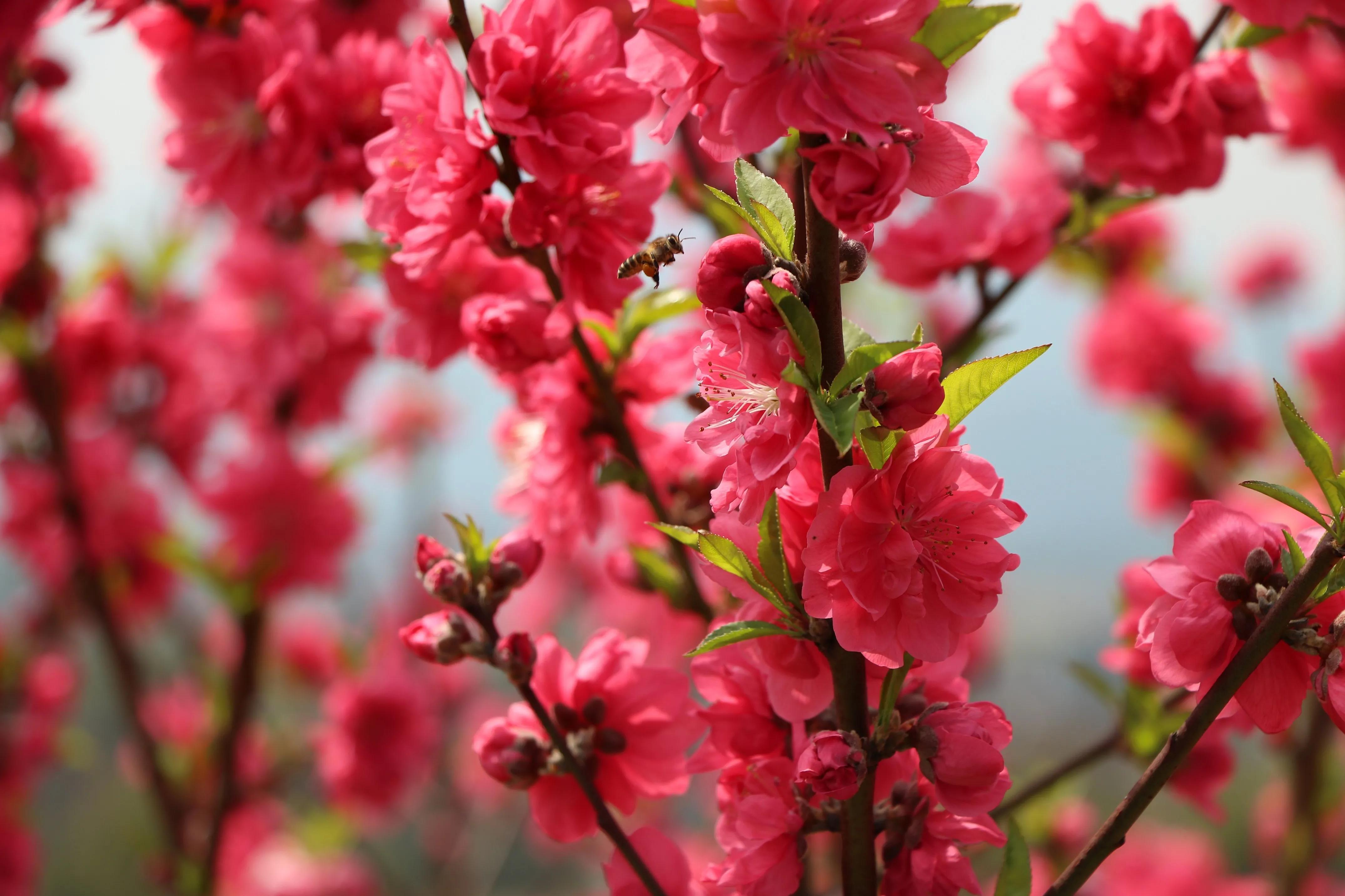 生活社会实践,生活实践