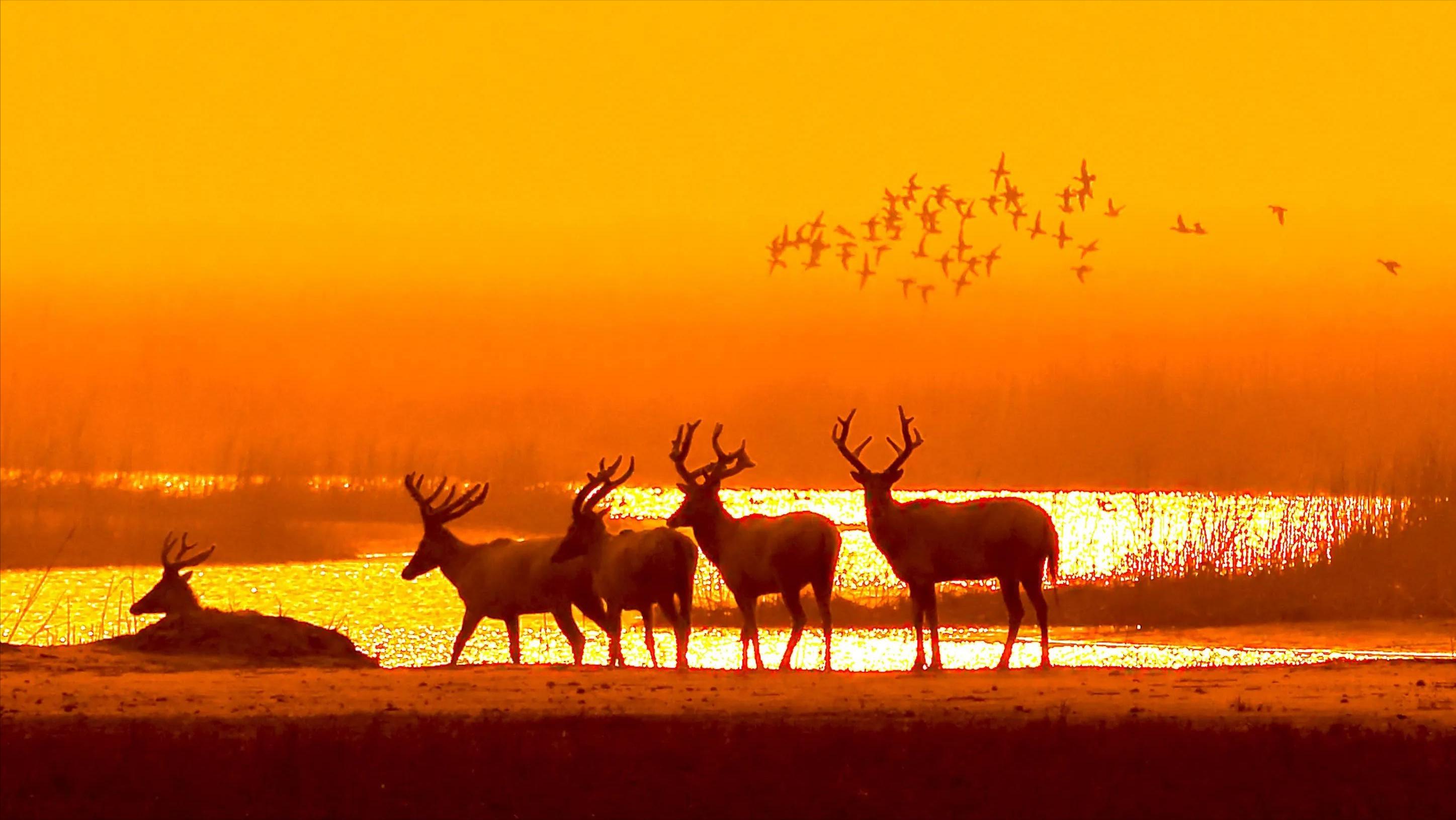 盐城千亿级县区,盐城一座打开心扉的城市图片
