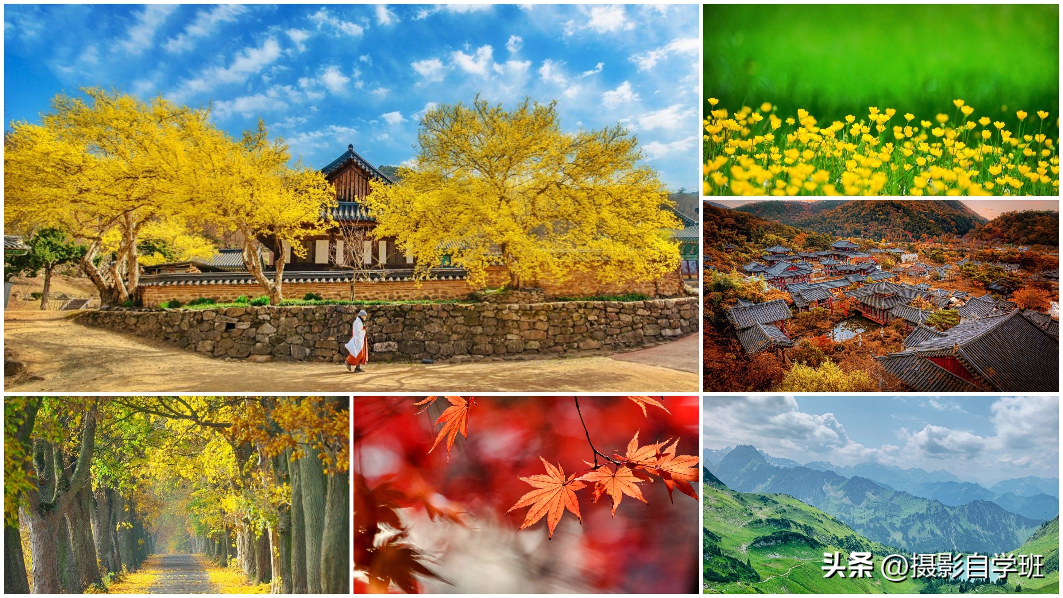 用手机拍照风景技巧,用手机拍照有哪些摄影技巧