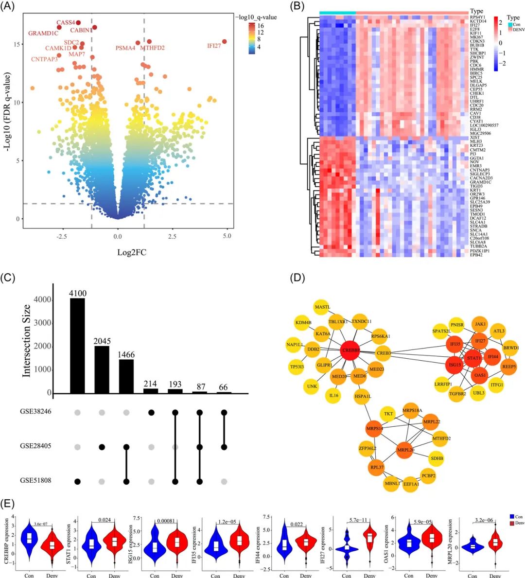刚发表!20+生信文章,工作量简直太友好了
