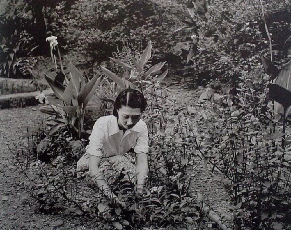 张学良赵四小姐真实照片,赵四小姐有多爱张学良