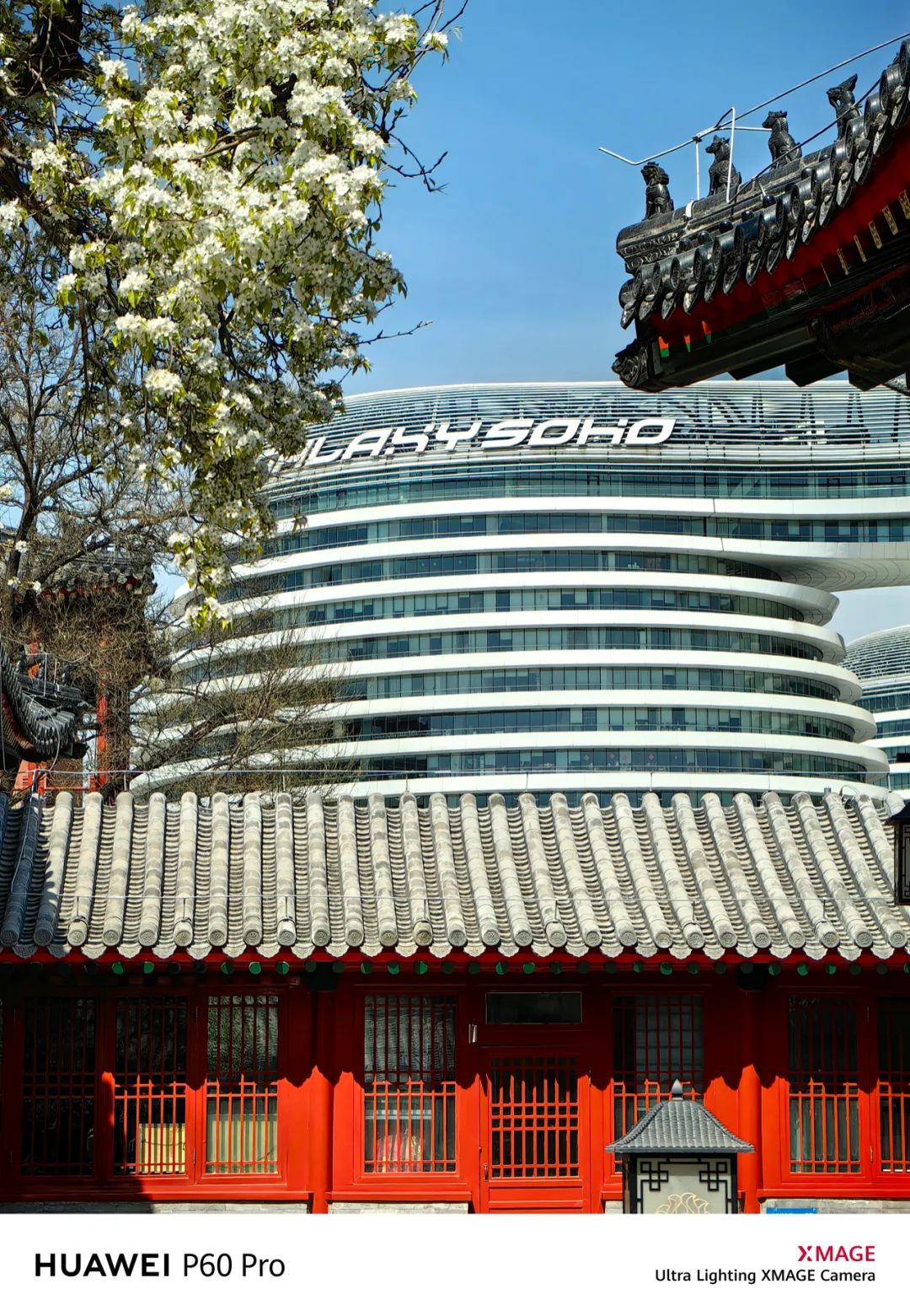 华为p60pro拍照样张原图,华为p60pro拍摄照片样张