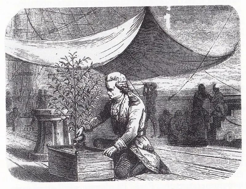 咖啡往事,咖啡往事清零