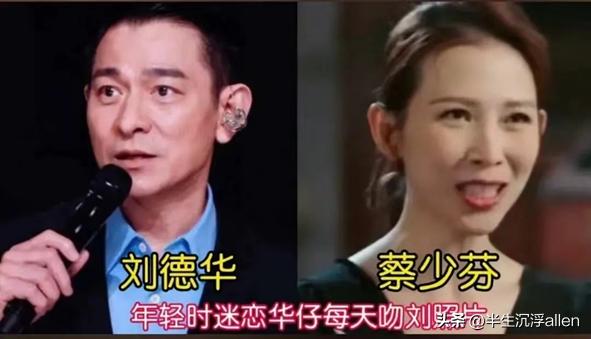 刘德华爱你恨你,活该刘德华