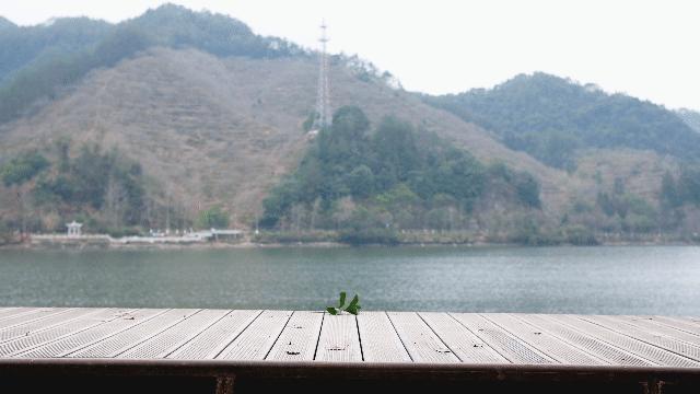 2023超强推进力跑鞋,奥创paradigm跑鞋评测