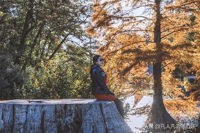 浪漫、纯净、刺激…我想要的精彩尽在新西兰