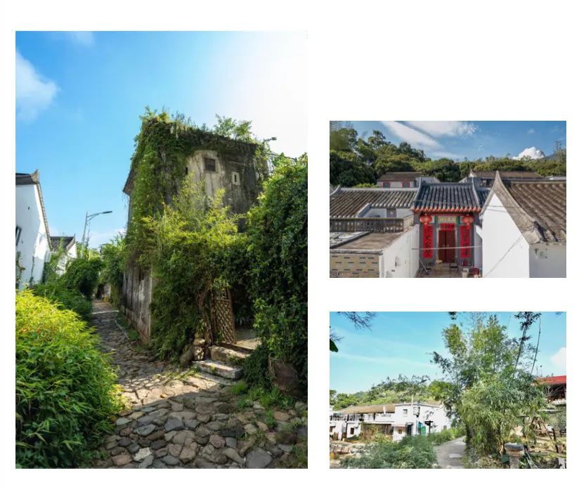 坪山金龟生态艺术小镇,坪山全域自然博物步道