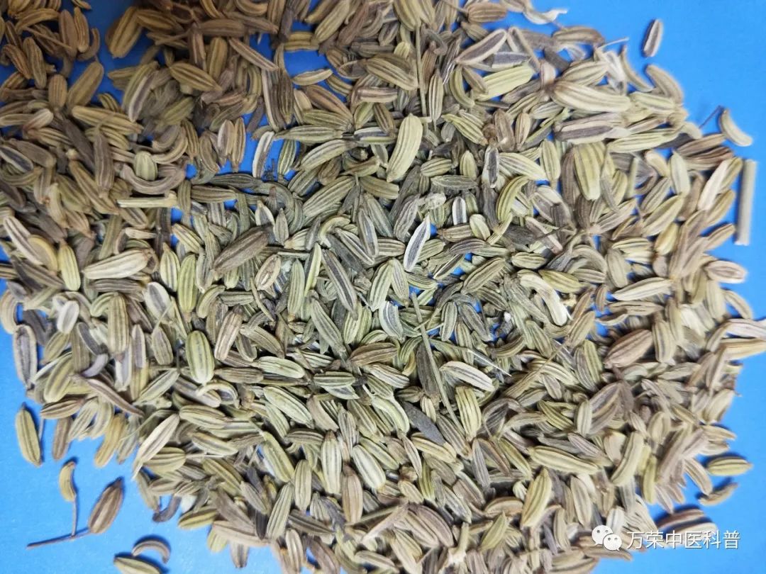 既是中药又是调味品都有哪些,中药调味料有哪些