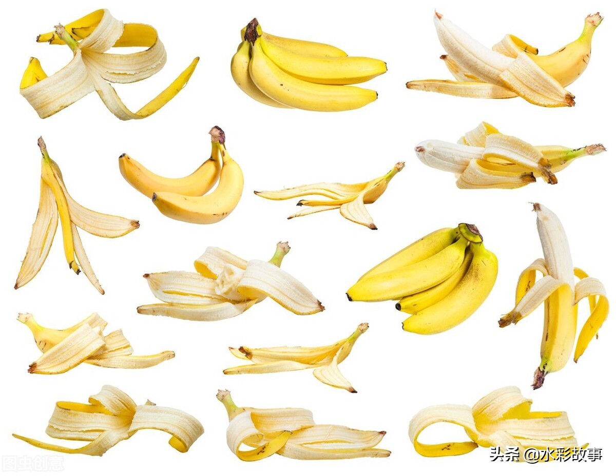 香蕉banana是啥,香蕉banana的由来