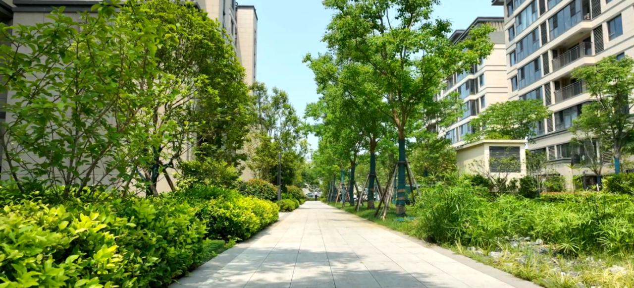 抢手！苏州太湖畔真洋房来袭