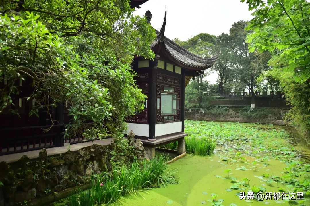 如果城市有颜色重庆,如果城市有颜色作文