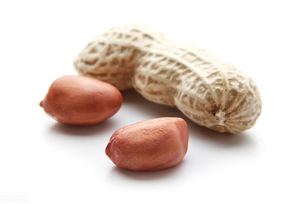 有言有味的下一句,有言有味是什么