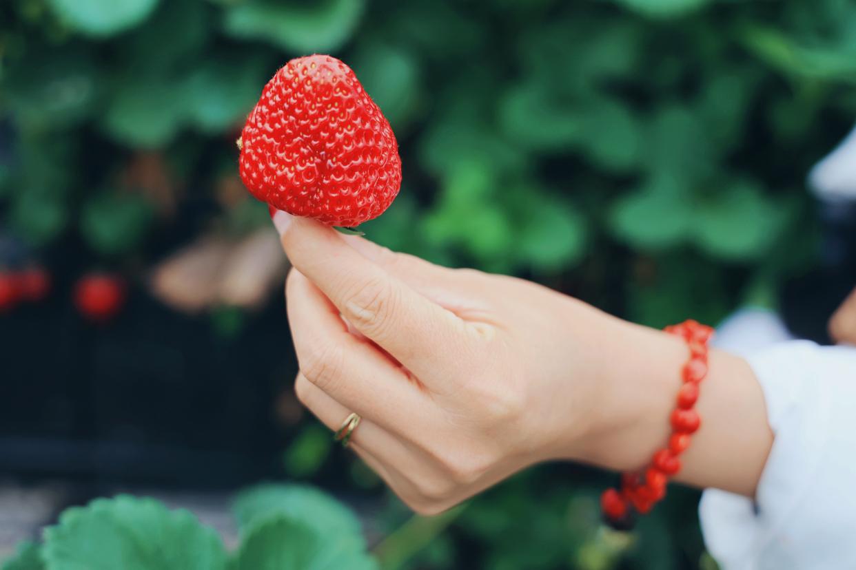 建德刀笃菜,倒笃菜是建德非遗吗
