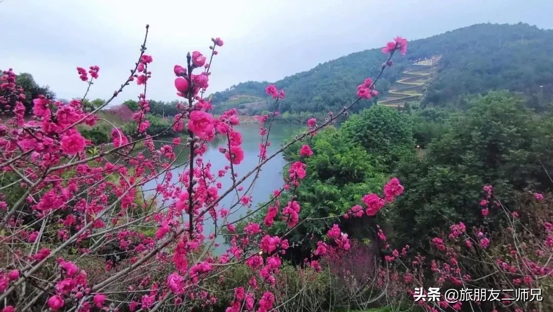 梅州4日3夜旅游路线攻略,春游去哪玩梅州樱花谷