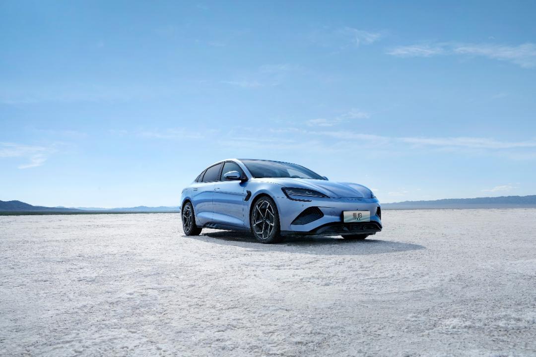 8079辆，B级车前10强唯一中国品牌，海豹扛起向上突破的旗帜