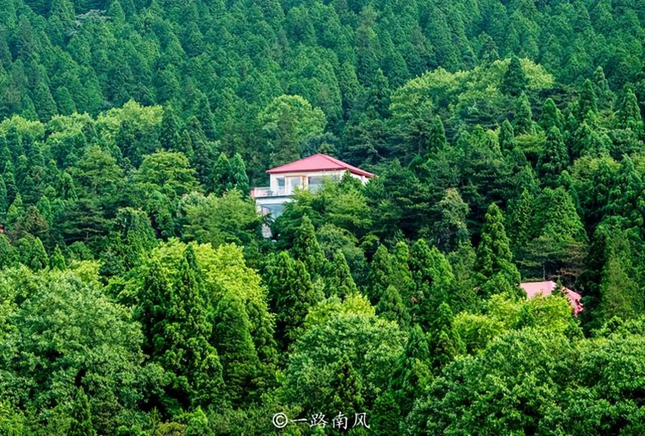 夏天避暑最佳旅游地庐山,江西庐山4天3夜旅游攻略