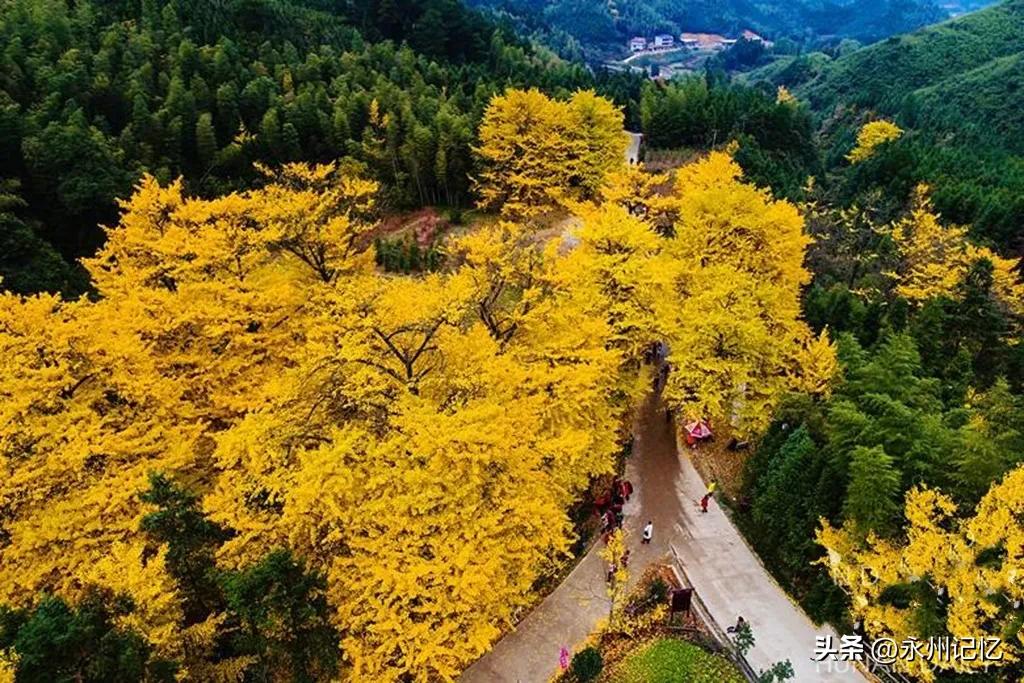 双牌名字的由来，建置历史来龙去脉