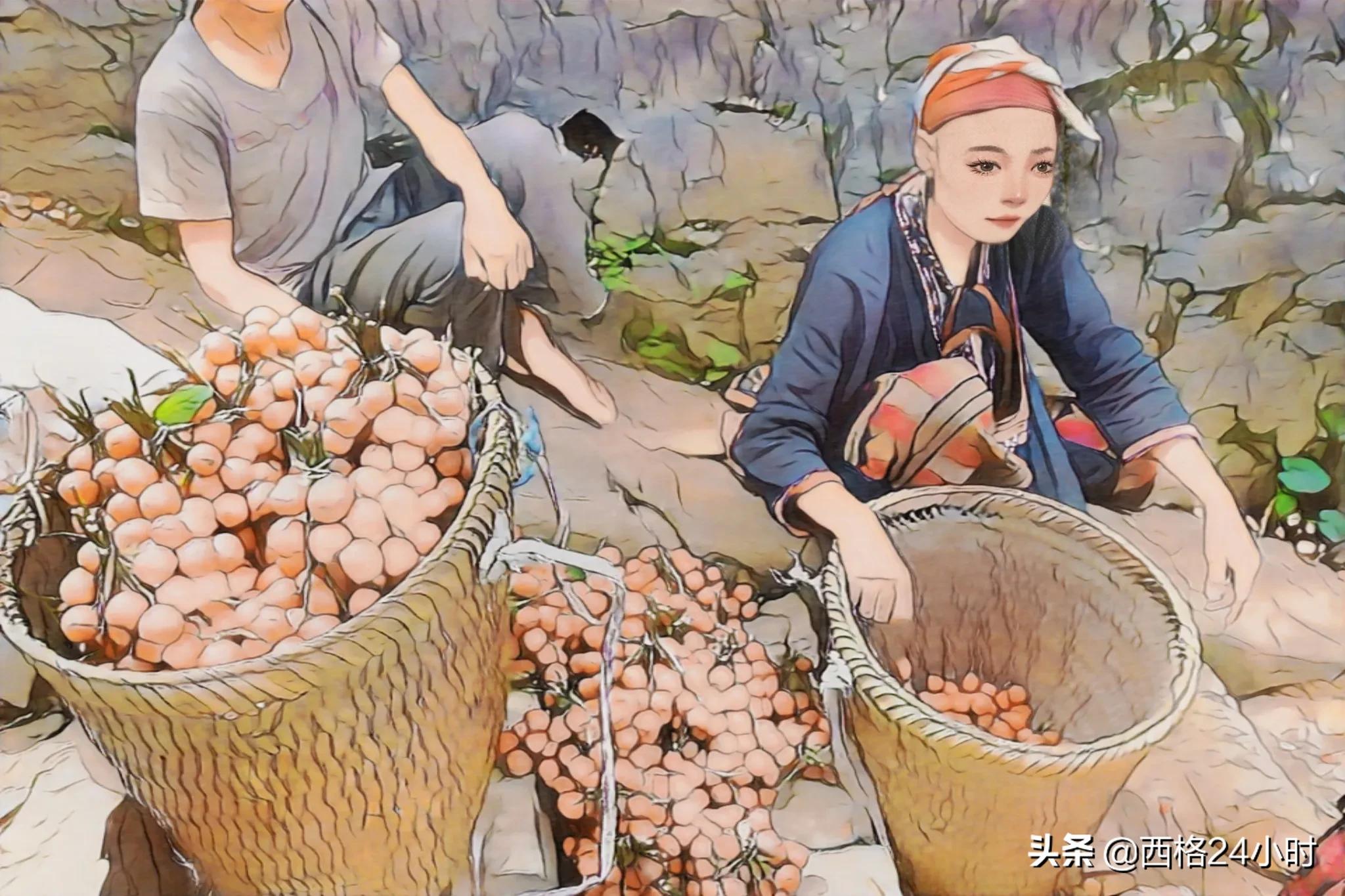 越南的沙巴值得去吗,越南沙巴镇旅游