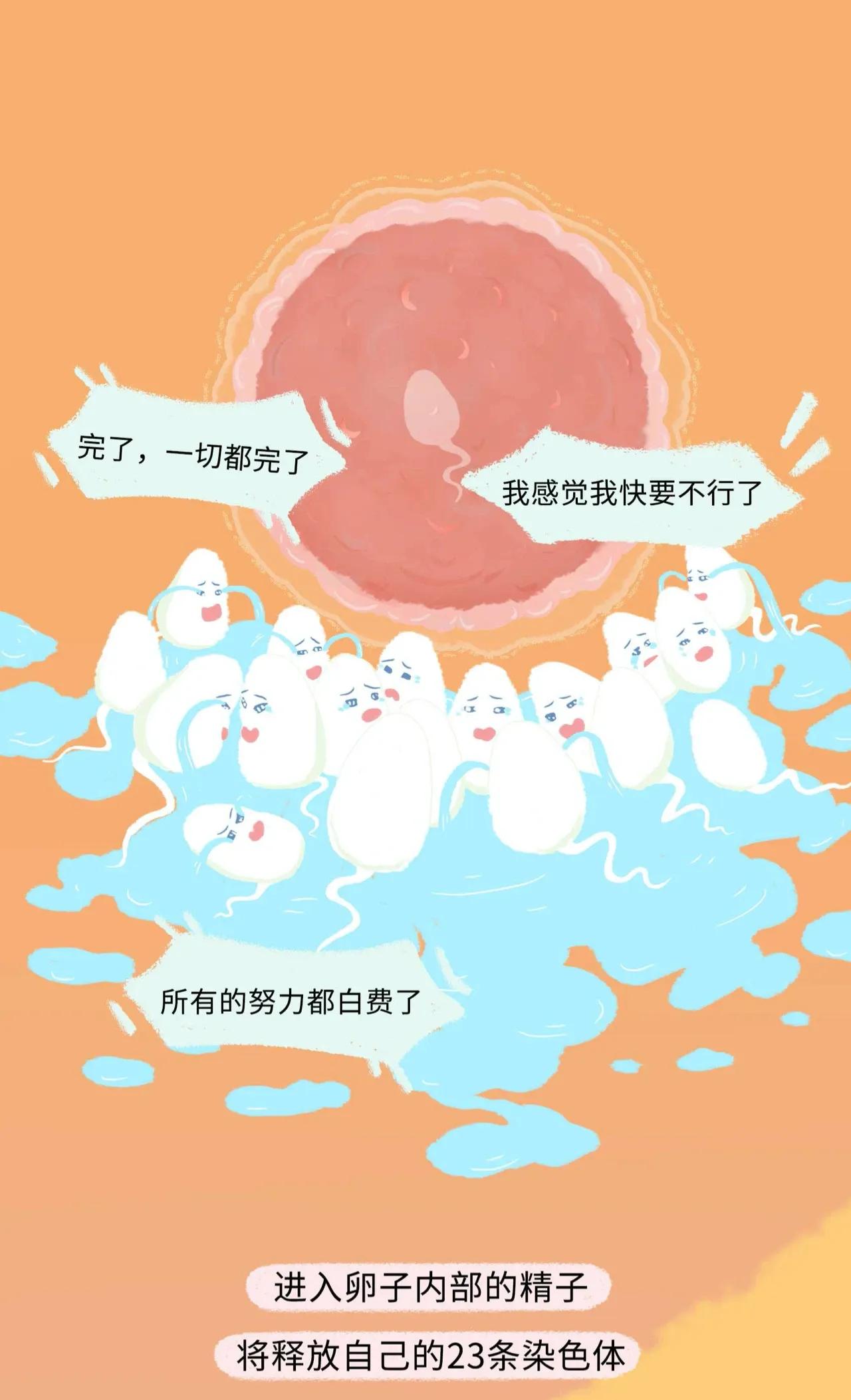 精子进入女生体内的全过程曝光！太励志了吧！