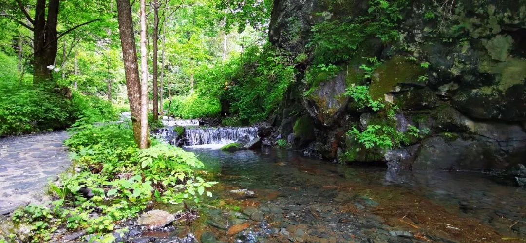 凤凰山旅游景区门票优惠政策最新,凤凰山景区2022年五一优惠政策