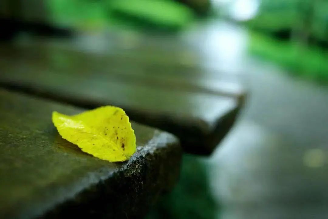 心若安然的诗句,岁月静好内心安然的诗词