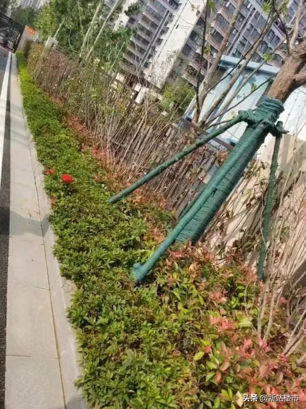 合肥保利楼盘未交付,合肥保利楼盘质量怎么样