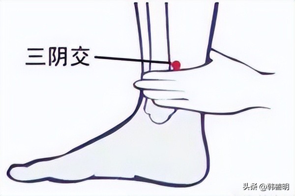 韩善明艾灸仪,韩善明蕲艾疗法